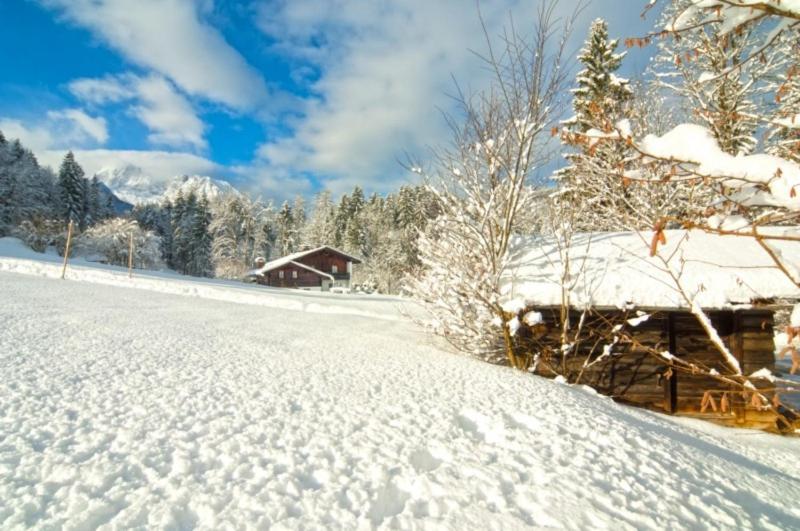 Appartementhaus Zechmeister เชอเนา อัม เคอนิกเซ ภายนอก รูปภาพ